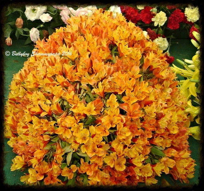 A picture of Yellow Orange Flowers